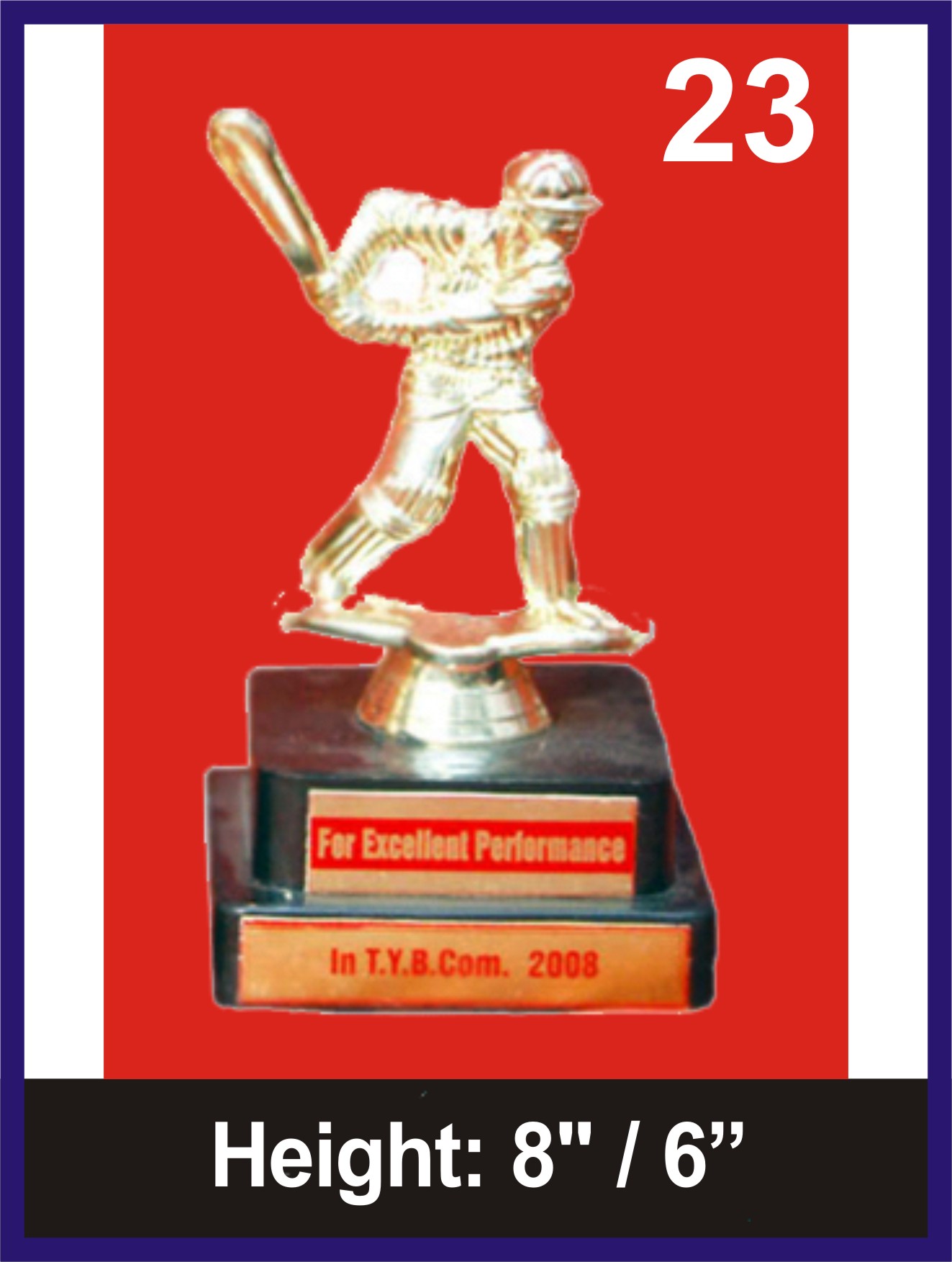 Manufacturers of PERMANENT POLISH FIBER TROPHIES in Mumbai